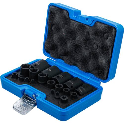 Schlagschrauber Nuss Satz E-Profil Plus 6.3mm (1/4"), 10mm (3/8"), 12.5mm (1/2"), Antrieb EP4-EP32, 19-tlg. Schlagschrauber Nuss Satz E-Profil Plus 6.3mm (1/4"), 10mm (3/8"), 12.5mm (1/2"), Antrieb EP4-EP32, 19-tlg.